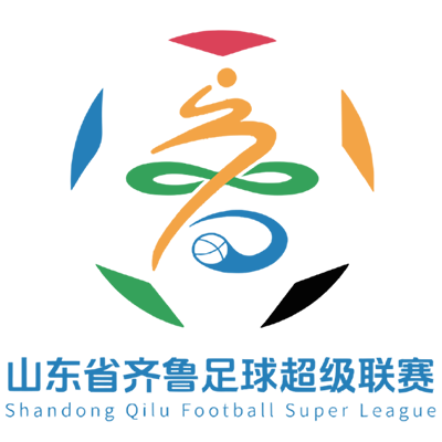 山东省齐鲁足球超级联赛 聊城传奇农商行VS枣庄丰源轮胎队20260704