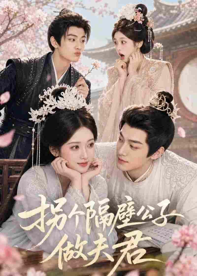 拐个隔壁公子做夫君在线观看