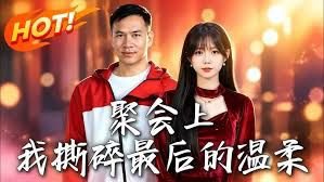 聚会上，我撕碎最后的温柔高清播放