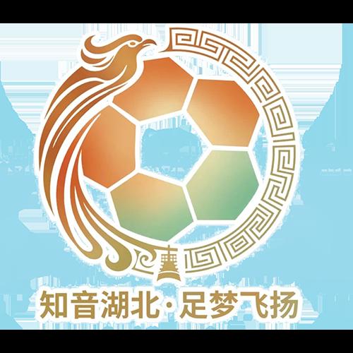 湖北省城市足球联赛 神农架队VS孝感孝傲江湖队20260704
