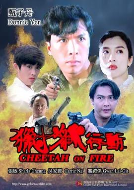 猎豹行动1992[电影解说]高清播放