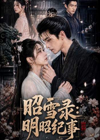 昭雪录：明昭纪事高清播放